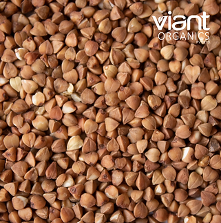 Organic Buck Wheat