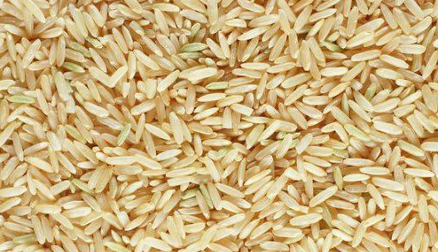 Organic Rice Sonamasuri Brown