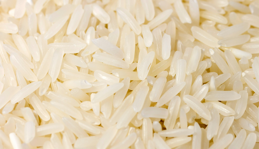 Organic Rice Sonamasuri White