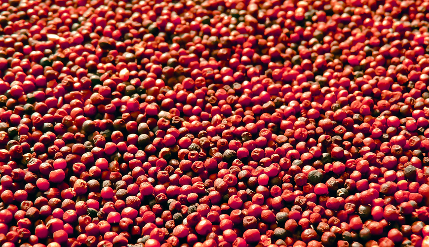 Organic Finger Millet