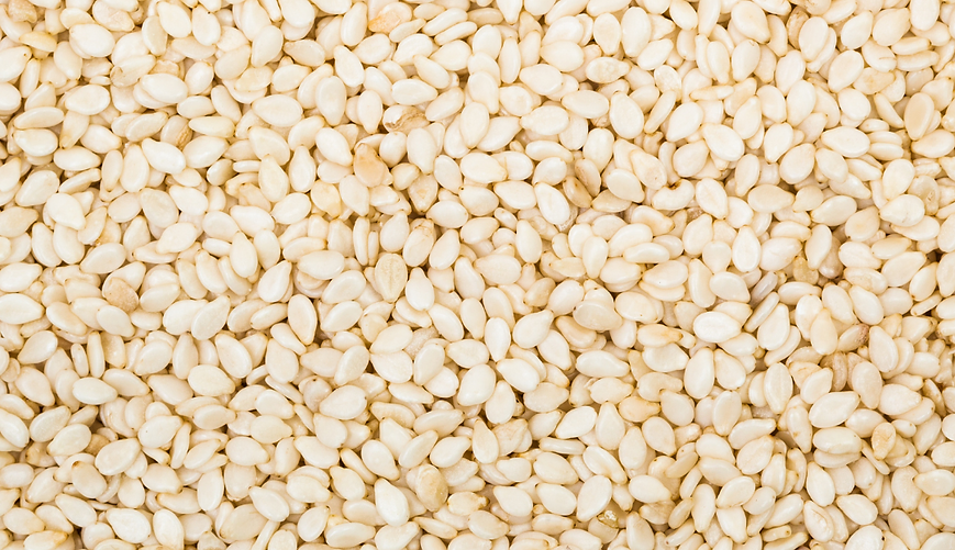Organic Sesame Seed White
