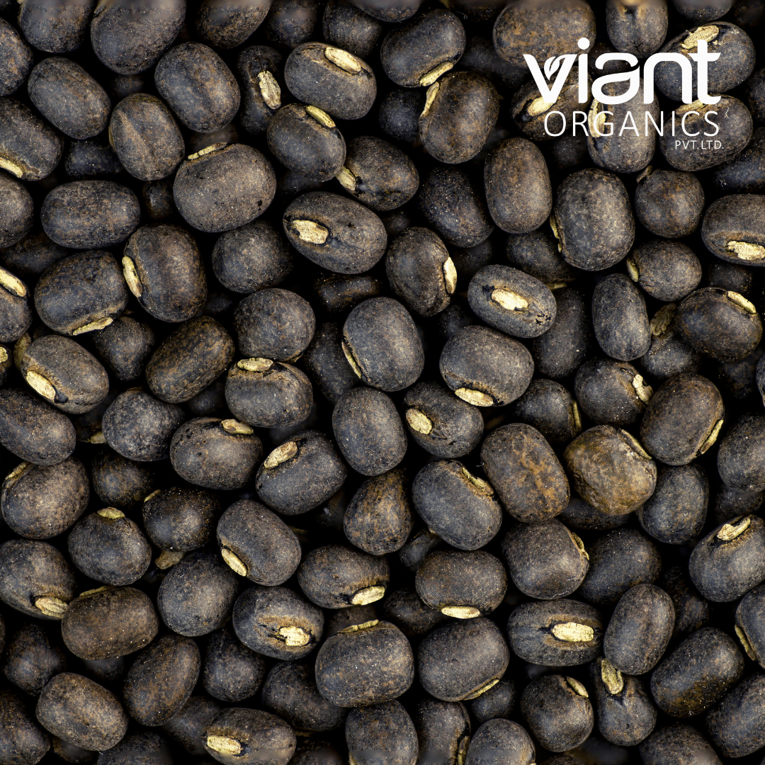 Organic Black Gram Whole