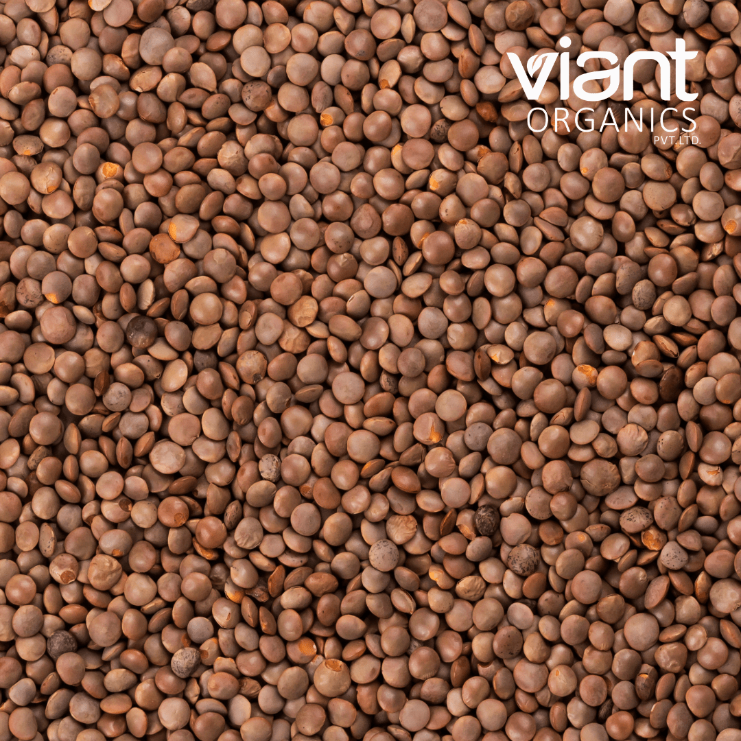 Organic Brown Lentil Whole