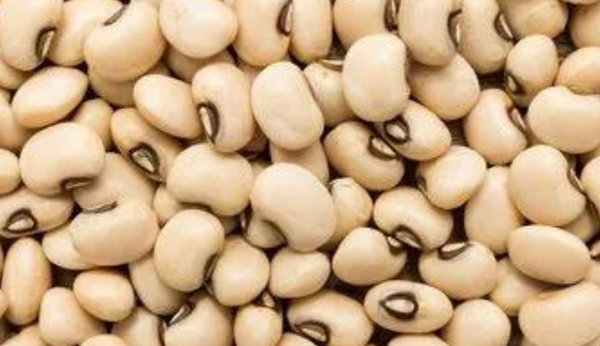 Organic Cowpea