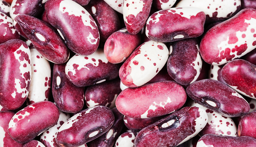 Organic Kidney Beans Chitra