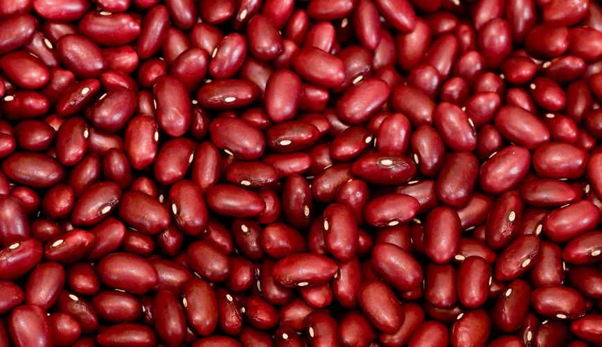 Organic Kidney Beans Jammu