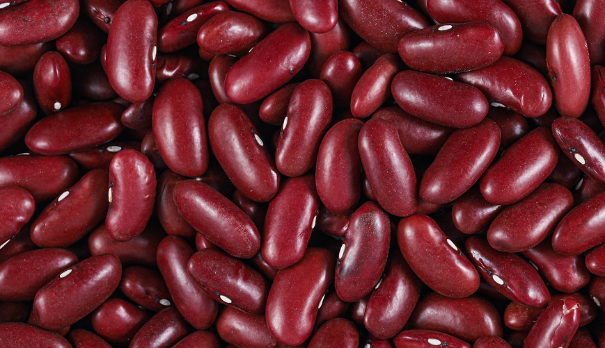Organic Kidney Beans Red