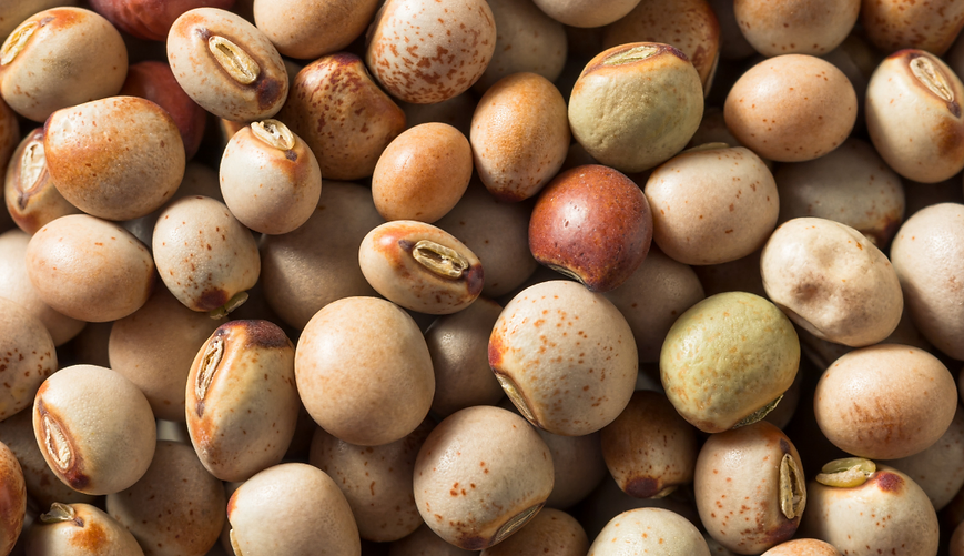 Organic Pigeon Pea Whole