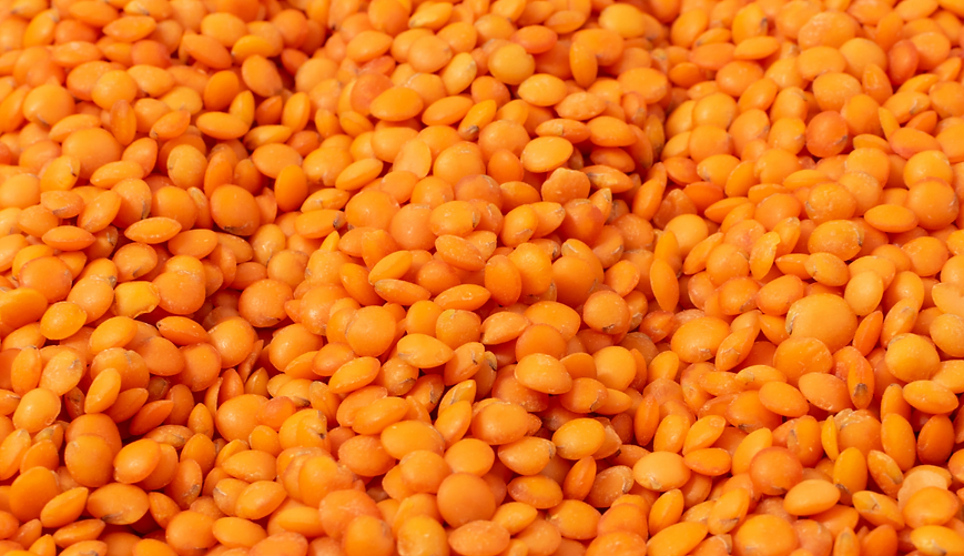 Organic Red Lentil Whole