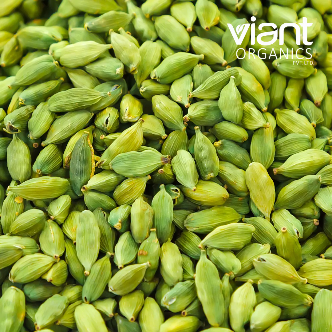 Organic Cardamom Green