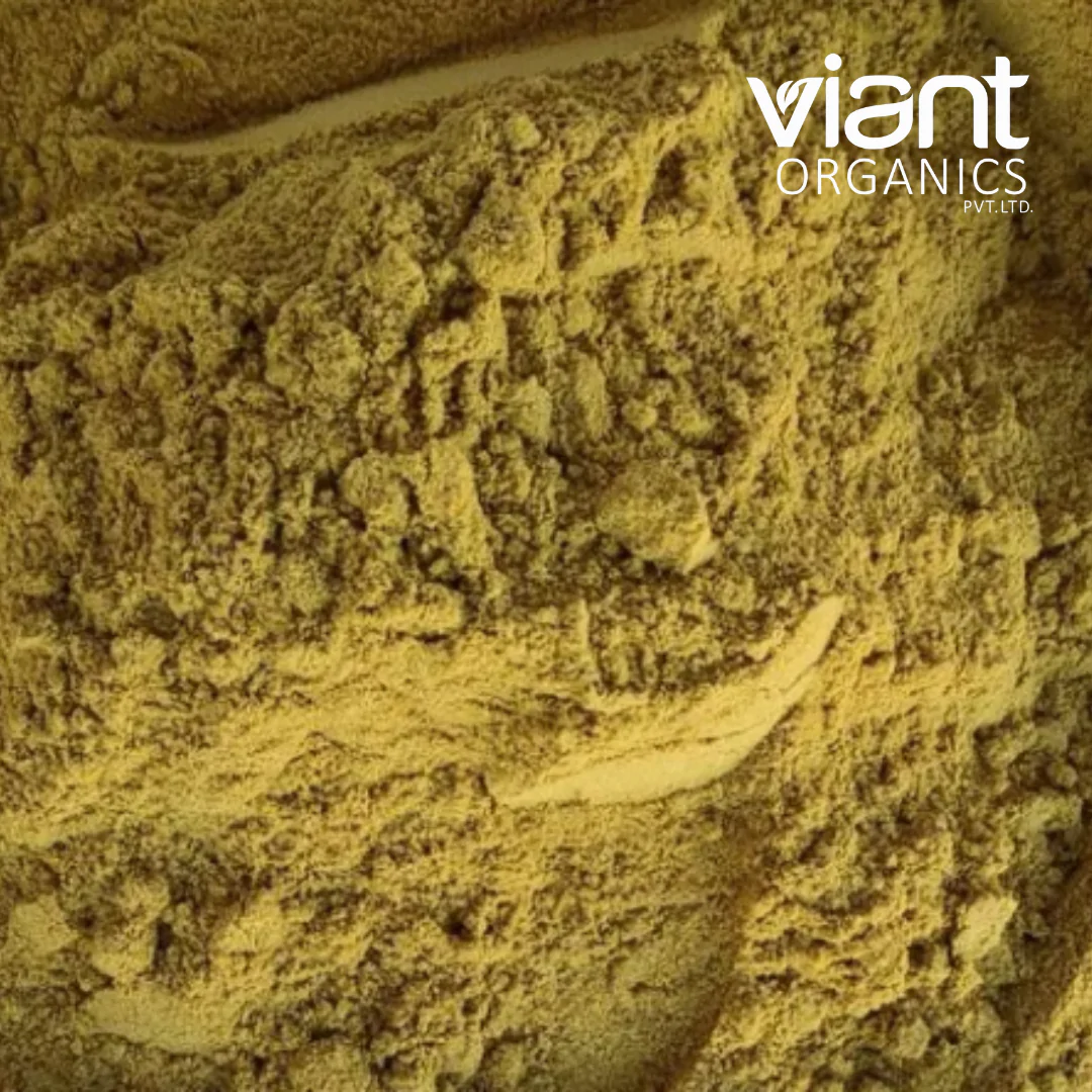 Organic Coriander Powder