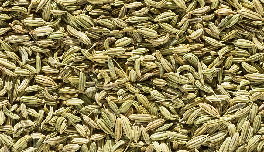 Organic Fennel Seeds