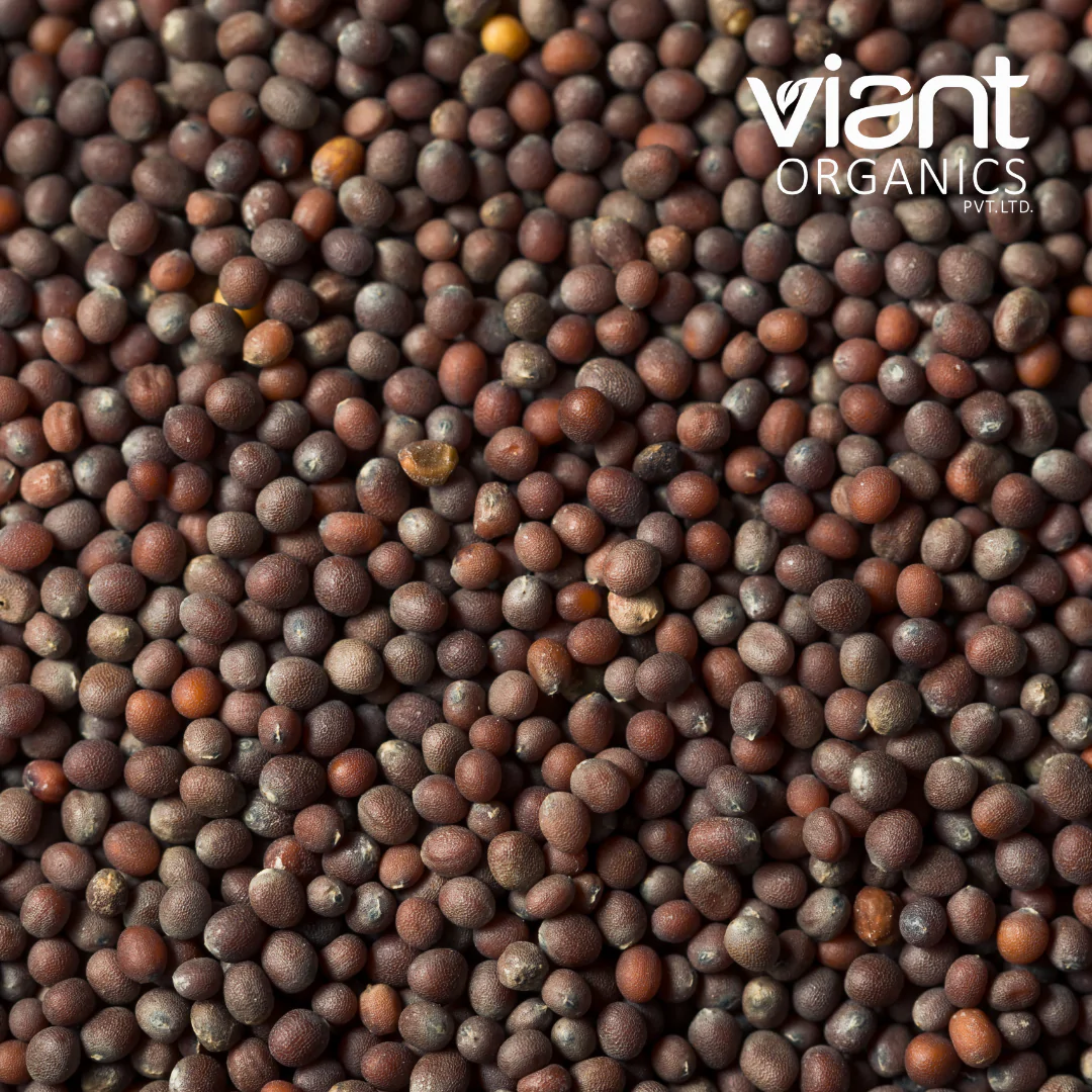 Organic Mustard Seeds Brown