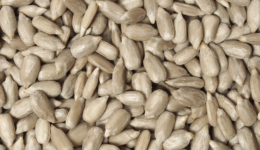 Organic Sunflower Seeds