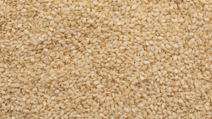 e489a8_02340aa80efc4acfa095705c46e462bd~mv2