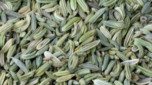 e489a8_0e95927d2b764e36937e7a5dbd213dac~mv2