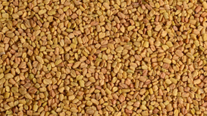 e489a8_467bbc49519d4325a397d5392c8918bd~mv2