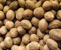 e489a8_56c83935bf274730b4f49aaa0affae82~mv2