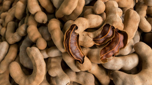 e489a8_77f91954472d4d8cadbd03cc39cfe953~mv2