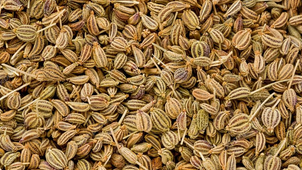 e489a8_cbeee626c53a49b29a33838e79dfb5b5~mv2