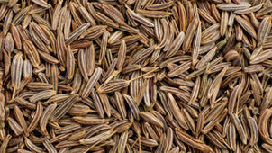 e489a8_e88b7579c52a43d5b8c38906b4addcc9~mv2