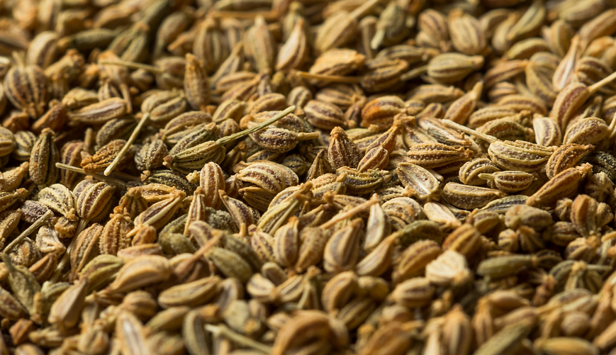 Ajwain viantorganicscom